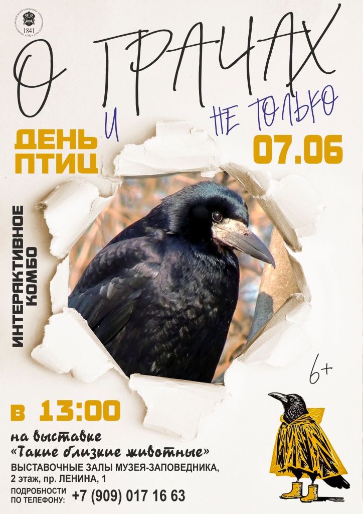 Афиша День Птиц 07.06.jpg