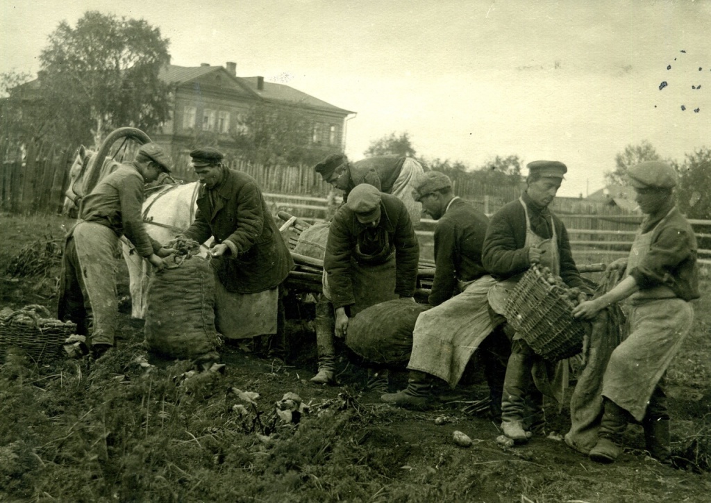 Погрузка мешков с картошкой в огородной артели в Н. Тагиле. 1928 г..jpg