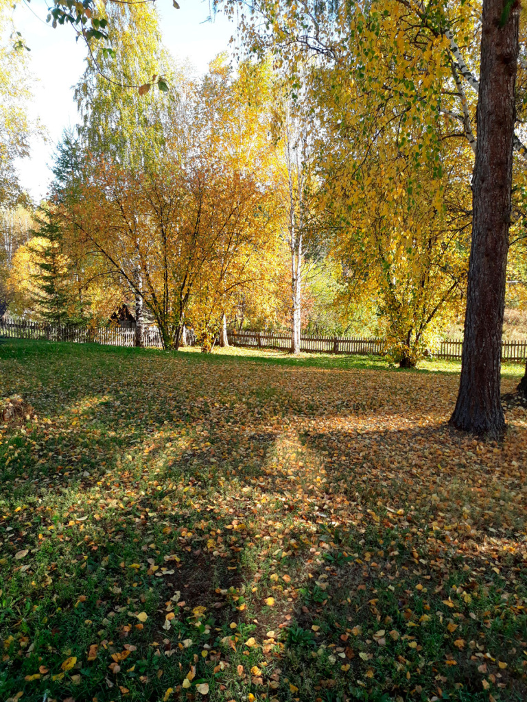 20220921_092056.jpg