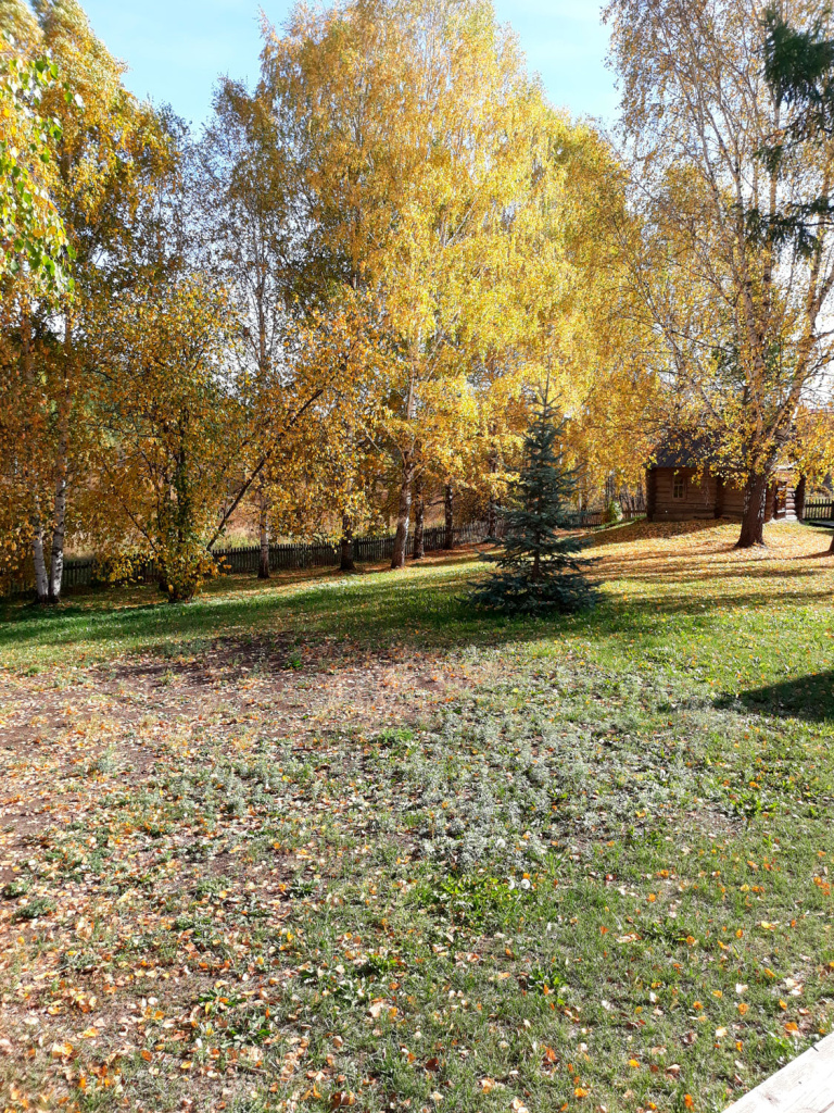 20220921_133158.jpg