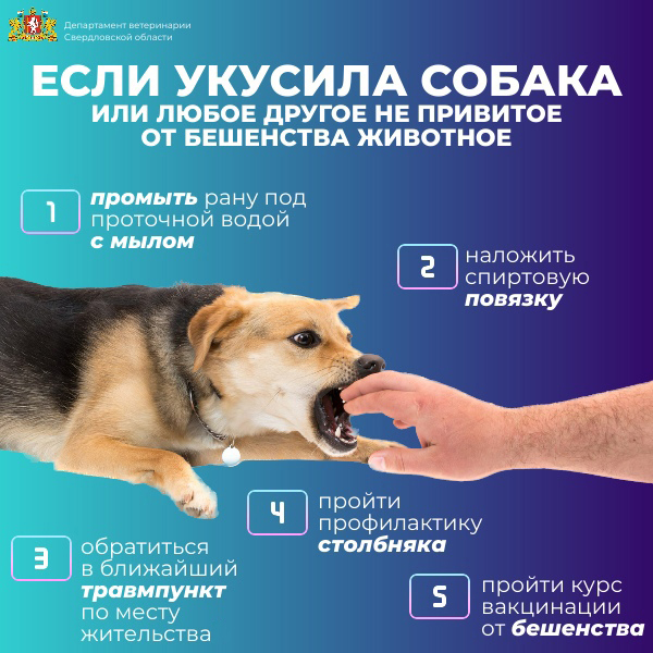 Файл № 1 к Письму от 23.04.2026 № 20-01-1389 1.jpg