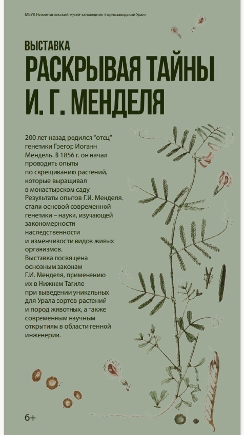 ELU-NNrHIVCGNkQ_DzKkSESBK0ELXZtsh7iAil9YVIlIfxDR9xIKn944ggWzJiIMgjz5VusBVGQ84ZepRnZ_ScVA.jpg