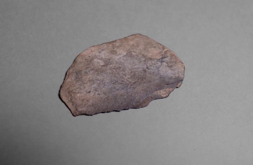 Плитка камня с гравировкой (изображение мамонта и летящей птицы) (Ранний железный век VII век до н.э.-II в. н.э.) Лайский мыс А.И.